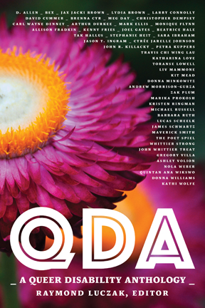 close-up of a purple echinacea flower with a bright orange center with the letters in caps QDA: Queer Disability Anthology