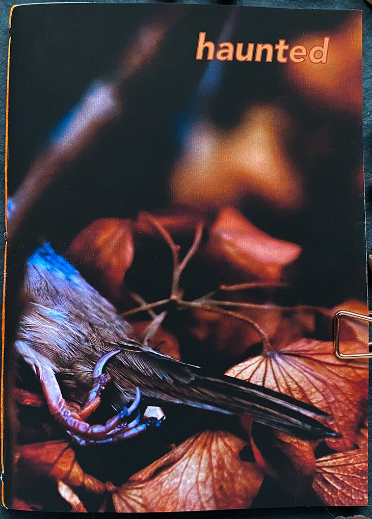 Title “haunted” curved claws and lower half of body of a bird that appears dead with blurred background of fall leaves in oranges. Cover art by Jessica Furtado. 